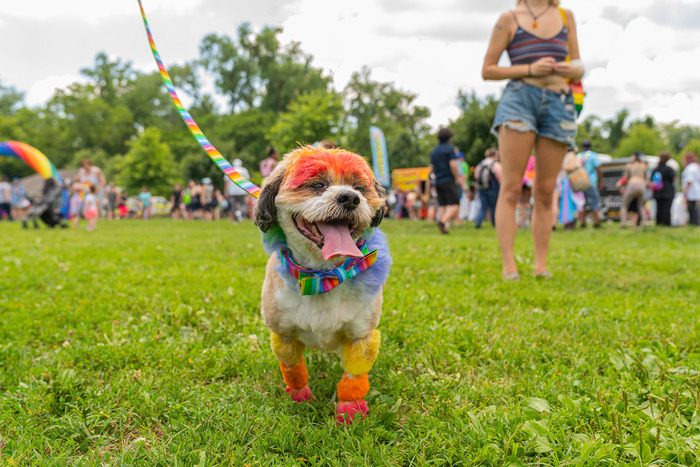 FredericksburgPride2022_Hyperbole_11.tiff FredericksburgPride2022_Hyperbole_11.tiff